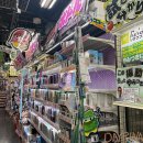 여주-0071 이미지