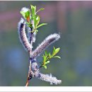 자연생태공원 부천식물원 이미지