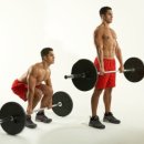 Wellness Gym 이미지