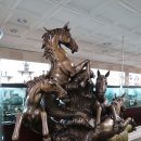 사립강원종합박물관 이미지