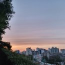 개. 이쁜날 이미지