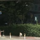 더벤티 익산원광대점 이미지