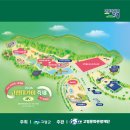 대가야역사테마관광지 | [고령 여행] 2026 고령 대가야축제가 진행되는 '대가야역사테마관광지' 나들이