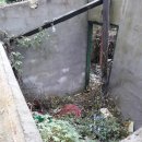 식현1리 이미지