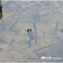 예찬농장 이미지