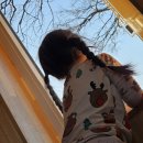 명월편지 이미지