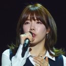 수연 카카오 검색결과