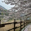 만성리 파출소 옆 이미지