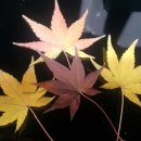 맛있는친구들 이미지