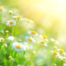 줄리앙 - 군산시 소룡길 86-1 | 줄리앙