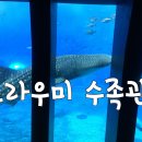 77수족관