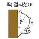 돌판삼겹살.곱창