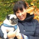 아마존펫 이미지