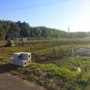 도미태양광발전소 이미지