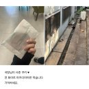 구공탄뽈따구 | 엑소가 싫어진 이유