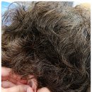 우리의료기.보청기 이미지