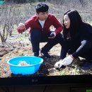 6시내고향 이미지