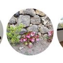 펜션톡민박 이미지