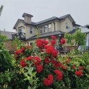 강내초교 병설유치원 이미지