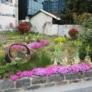 순천성동초등학교 이미지