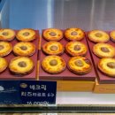 밤마을 이미지