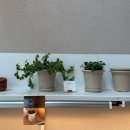 애견가을농장 | 공간] 뤁스퀘어 (청주 근교 가볼 만한 곳/농장 체험/아이와 가기 좋은 곳/애견동반/주말 나들이/진천 펜션)