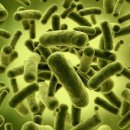 주식회사 웰빙엘에스 이미지