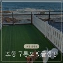 pet338다8114 | 포항 글램핑 애견동반펜션 펫글램핑 오션뷰 G4 후기