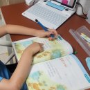 이도 태권도 | [5월 넷째 주] 팔꿈치 상처, 얼굴 멍, 태권도 노란띠 승급, 생존수영, 초등학교 체험, 엄마표 문제집...