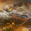 금암동태마을 이미지