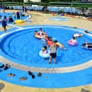 고성컨트리클럽 이미지