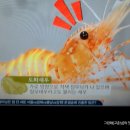 주안상 이미지