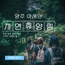 서해종합가스 | 양주 아세안 자연휴양림 숙소 추천 명당 자리 고르는 5가지 팁