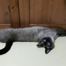 고덕산장 이미지