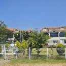 평생 사랑해 줄 개 애견펜션1 이미지