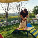 에코왕곡마을 이미지