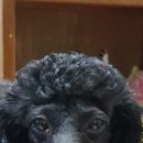 나이스피씨 이미지