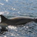 모정의 바다 이미지