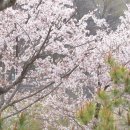 엔티크하우스 | 더빈컨벤션 파티오하우스 앤티크프레임과 결혼식 스냅영상 후기
