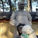(부산여행) 3박4일 애견동반 여행 🐶