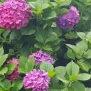 유교경전: 논어편 이미지