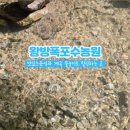 왕방폭포수농원 이미지