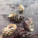 난드르 통나무집 이미지