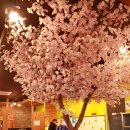 푸릴리통영무전점 이미지