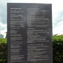 나무와나무 이미지