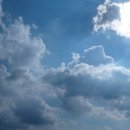 버드내약국 이미지