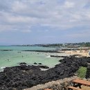 푸른나래펜션 | 제주에서 만난 반짝이는 꿈, 아이와 함께 꼭 가보고 싶었던 풍경