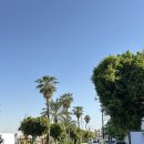 한국맥도날드중동D/T점 | 🇪🇬Egypt(3) 룩소르 소피텔 윈터 팰리스 / 룩소르 시장&amp;사프왓 티셔츠 / 나일강 펠루카 / 뷰맛집 El-Kababgy