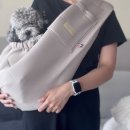 에이미펫 이미지