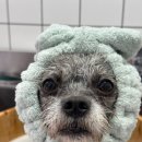 홀리몰리살롱 이미지